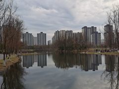 -洋湖国家湿地公园