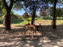 -北京野生动物园