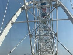 -琴岛之星摩天轮