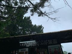 -金盆阿嬷香菇茶叶蛋(玄光店)