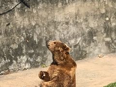 -无锡动物园·太湖欢乐园