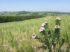 -塞罕坝国家级自然保护区