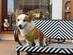 -Line 咖啡(石厦花园店)