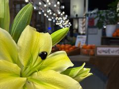 -四季餐厅·新津菜(环湖中路店)