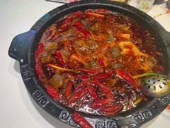 -卤校长老火锅(杨家坪直营店)