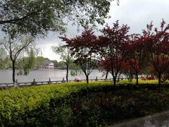 -西宁市人民公园(城西区)