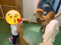 -藦茜花园宠物主题亲子互动体验馆(国顺东路店)