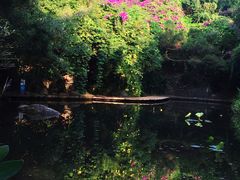 -燕晗山郊野公园