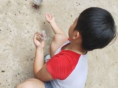 -广东茂名森林公园