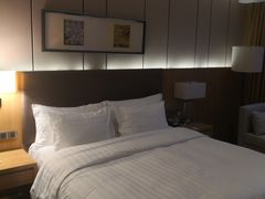 -徐州博顿温德姆酒店(高铁东站店)