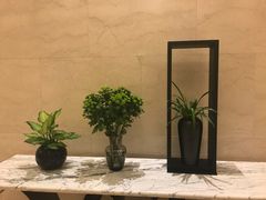 -常州武进九洲喜来登酒店