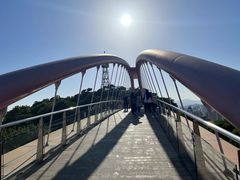 -金鸡山公园