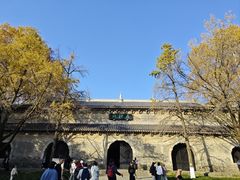 -灵谷景区