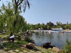 -长春市南湖公园