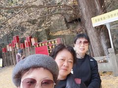 -大慈岩风景区