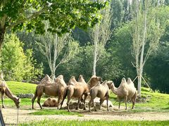 -北京野生动物园
