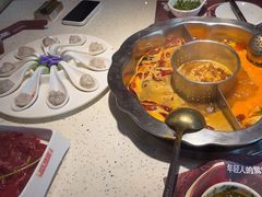 -辣度火锅(东方城市广场店)