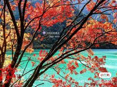-叠溪松坪沟景区