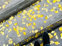 -重庆市江北嘴中央商务区中央公园