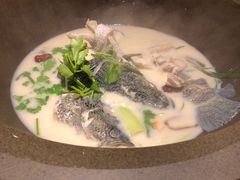 -咕嘟草帽鱼·牛奶一样的鲜鱼汤(天鹅湖万达广场店)