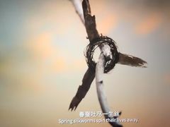 -金逸影城(广州海珠城激光IMAX店)