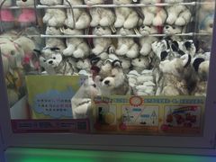 -小象猛犸(炫地购物中心店)