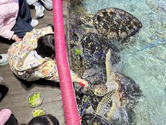 -福州罗源湾海洋世界旅游区