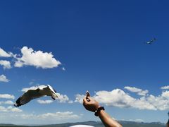 -花湖生态旅游区