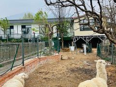 -丽泽山庄·生态怀柔菜·虹鳟鱼(红螺寺店)
