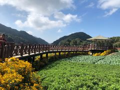 -广州市石门国家森林公园