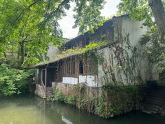 -西溪国家湿地公园