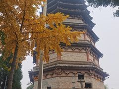-天宁寺