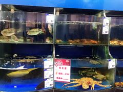 水产区-果蔬好生活超市(东湖店)