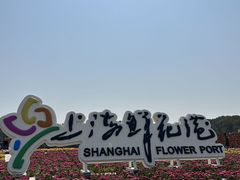-上海鲜花港