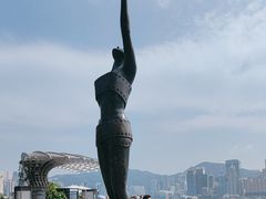 -星光大道