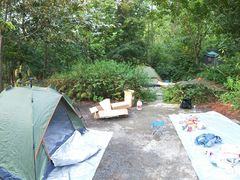 -铁山坪森林公园