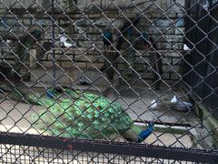 动物园-东湖公园