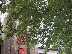 -红高粱大酒店(宁山东路店)
