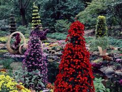 -上海共青森林公园