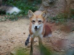 -杭州野生动物世界