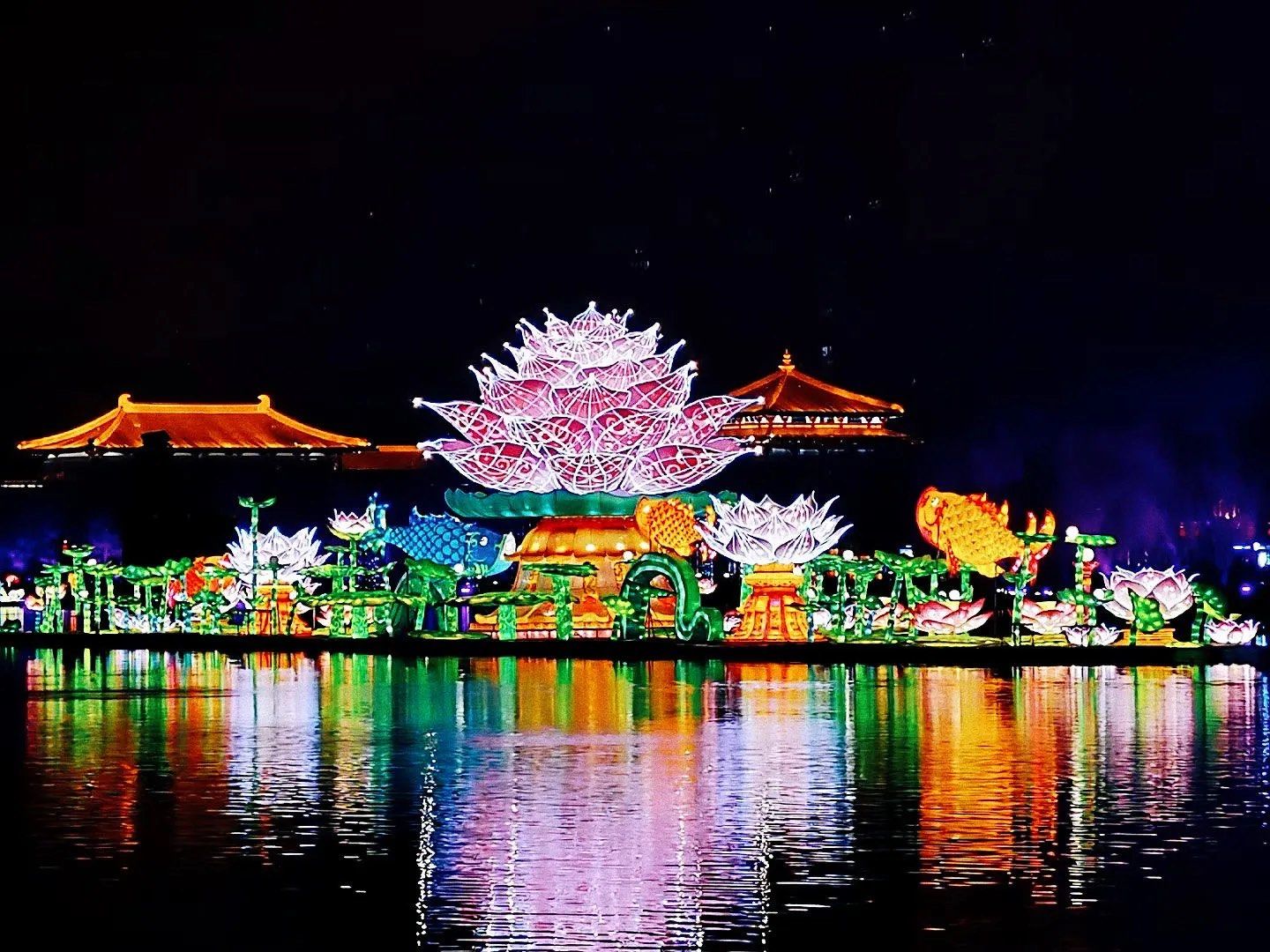 【晚上看夜景】大唐芙蓉园