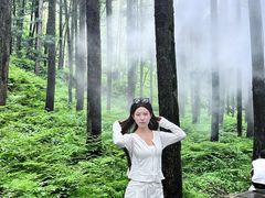 -洛阳白云山景区