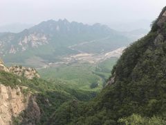 -蒲河大集