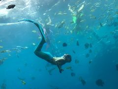 -瑞德姆美人鱼海底演艺主题餐厅(亚龙湾店)
