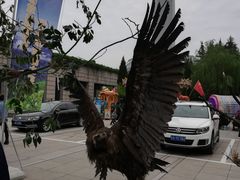 -陕西自然博物馆