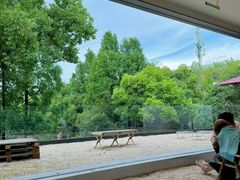 -J Create城市露营咖啡·简餐·宠物(上海动物园店)