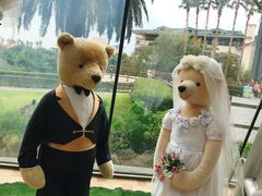 -济州岛泰迪熊博物馆