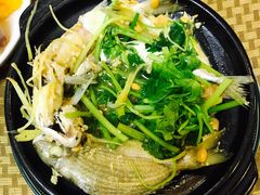 -肥信潮菜(科新路店)
