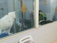 -芭比堂动物医院广州顽皮分院
