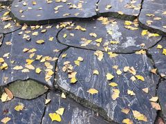 -重庆抗战遗址博物馆